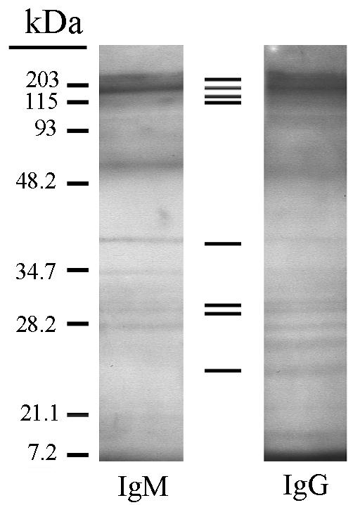 FIG. 7.