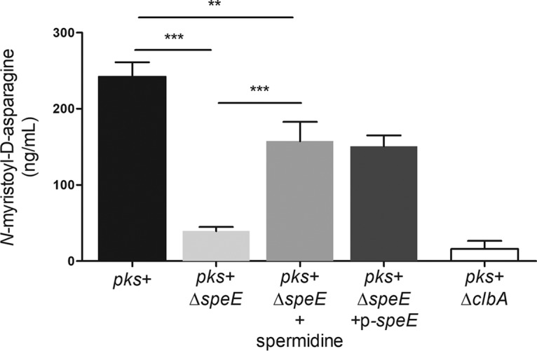 FIG 7