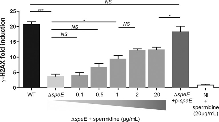 FIG 3