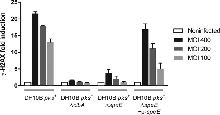 FIG 2