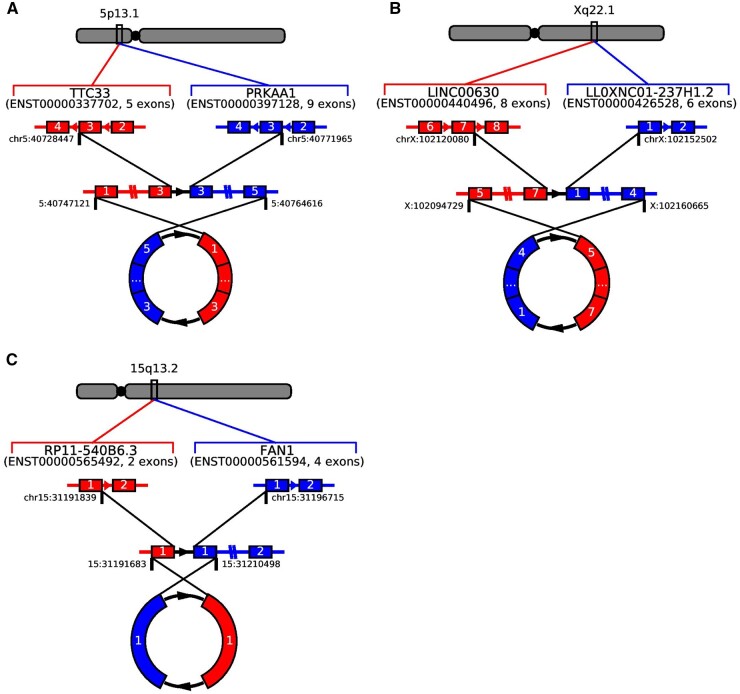 Figure 5.