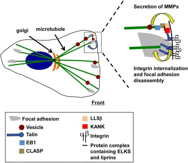 Fig. 3