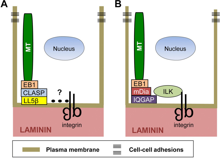 Fig. 2