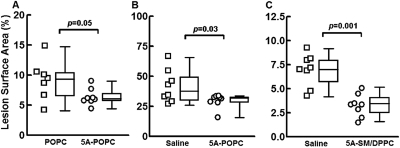 Fig. 8.