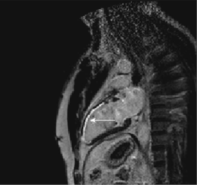 Figure 7.