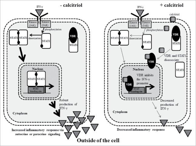 Figure 9.