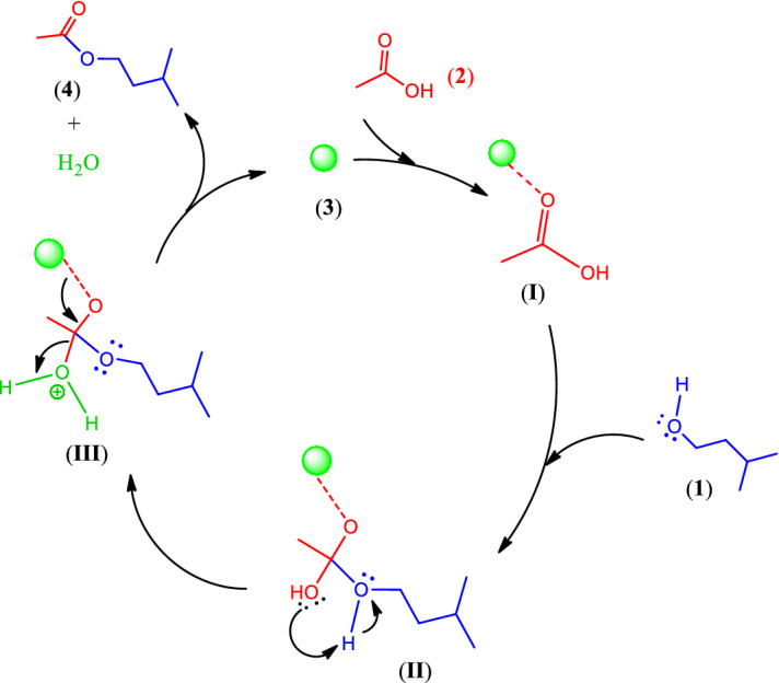 graphic file with name 41598_2023_29568_Figa_HTML.jpg