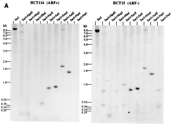 FIG. 5