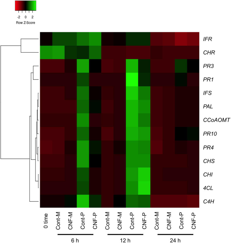 FIGURE 4