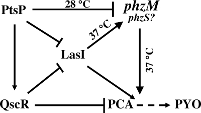 FIG. 6.