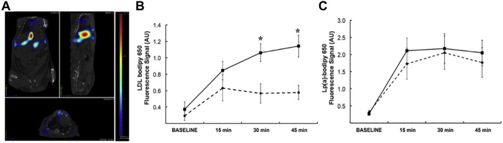 Figure 3