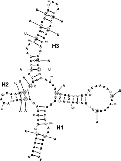 FIGURE 5.