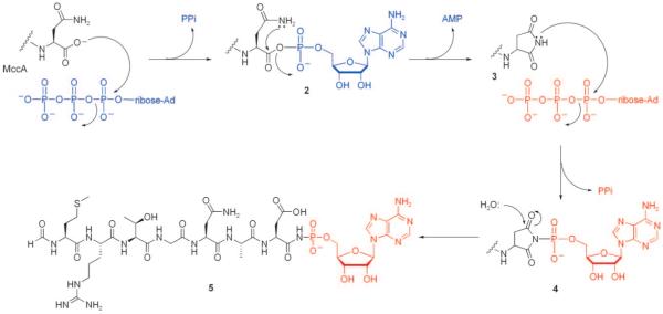 Figure 14