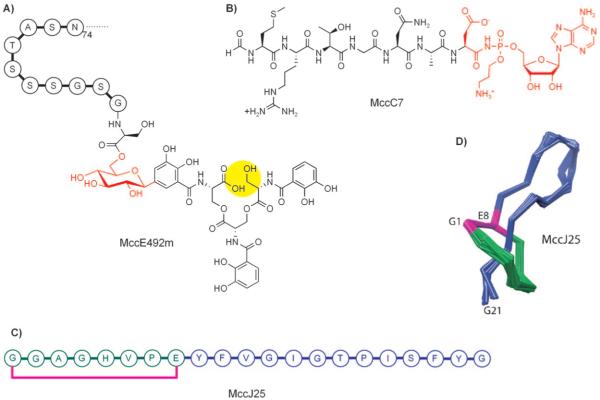 Figure 12