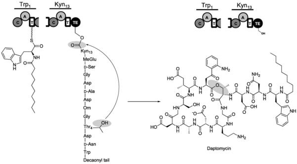 Figure 23