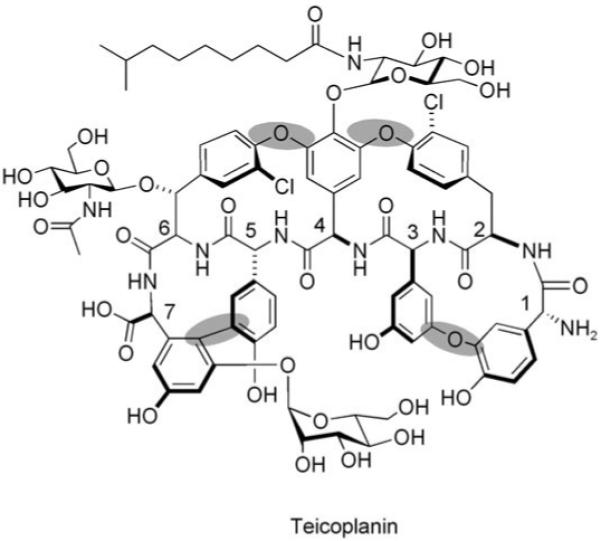 Figure 22