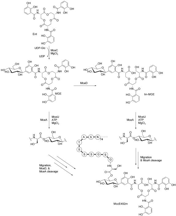 Figure 15