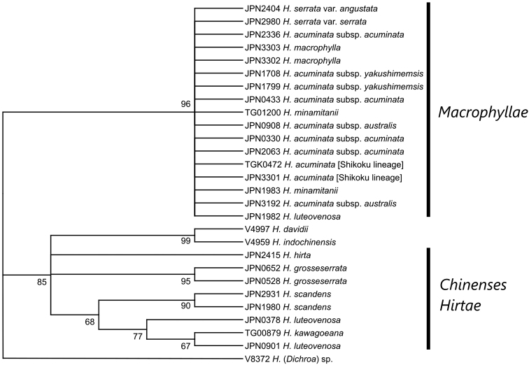 Figure 4.