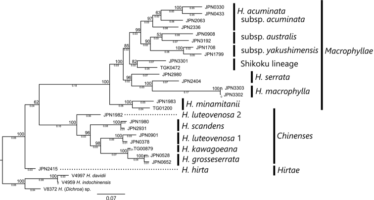 Figure 2.