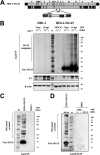 FIG 4