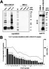 FIG 5