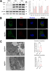 FIG 2