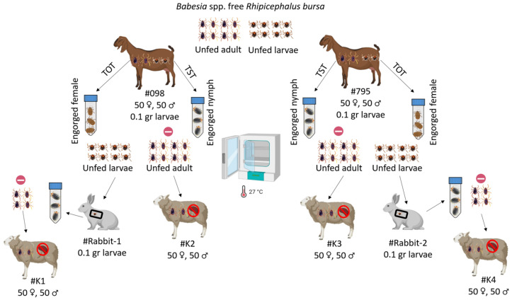 Figure 2