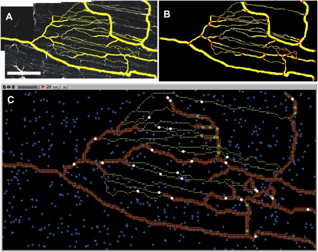 Figure 10