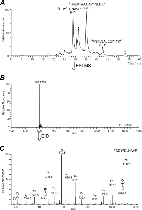 Fig. 3.