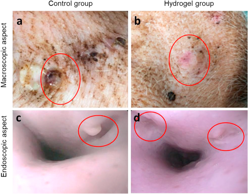 Fig. 6