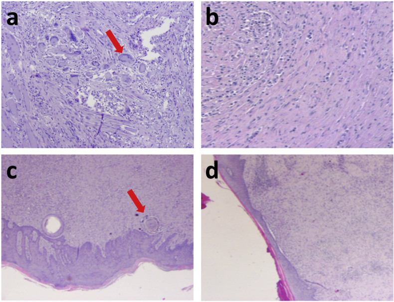 Fig. 7