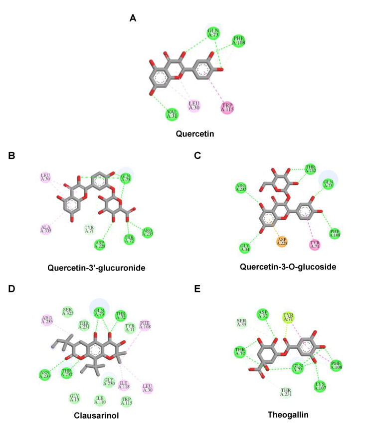 Figure 11