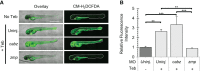 Figure 7