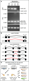 Figure 3