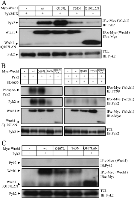 FIG. 7.