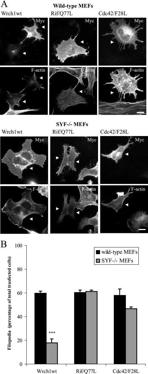 FIG. 8.