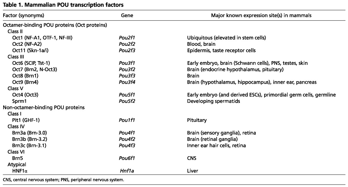 graphic file with name table001.jpg