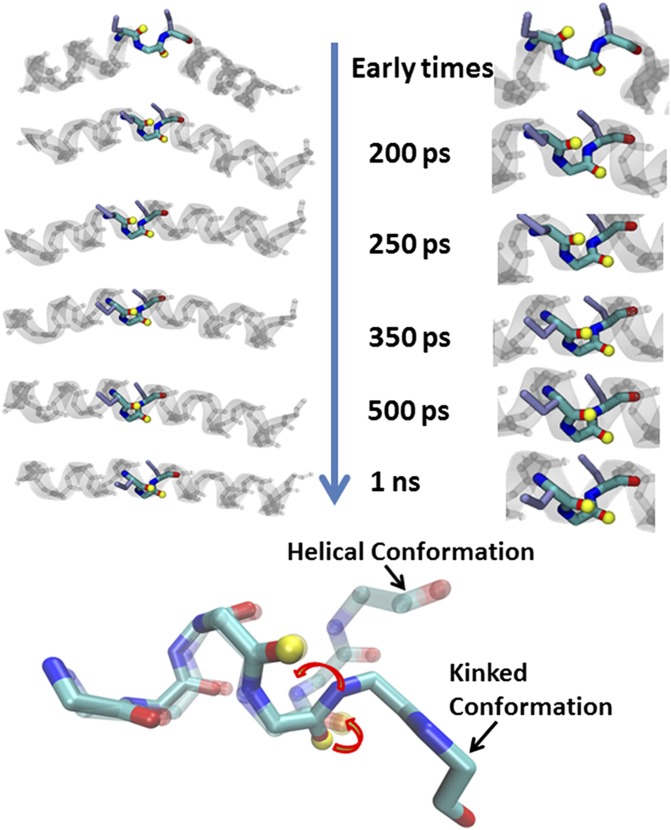 Fig. 6.