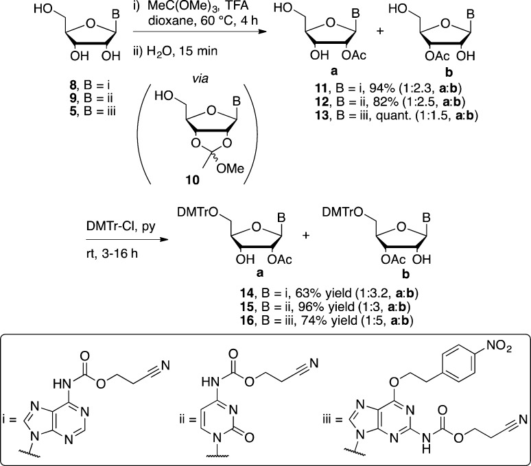 Scheme 4