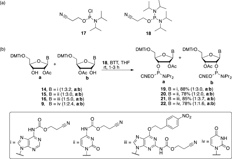 Scheme 5