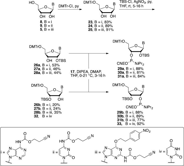 Scheme 6