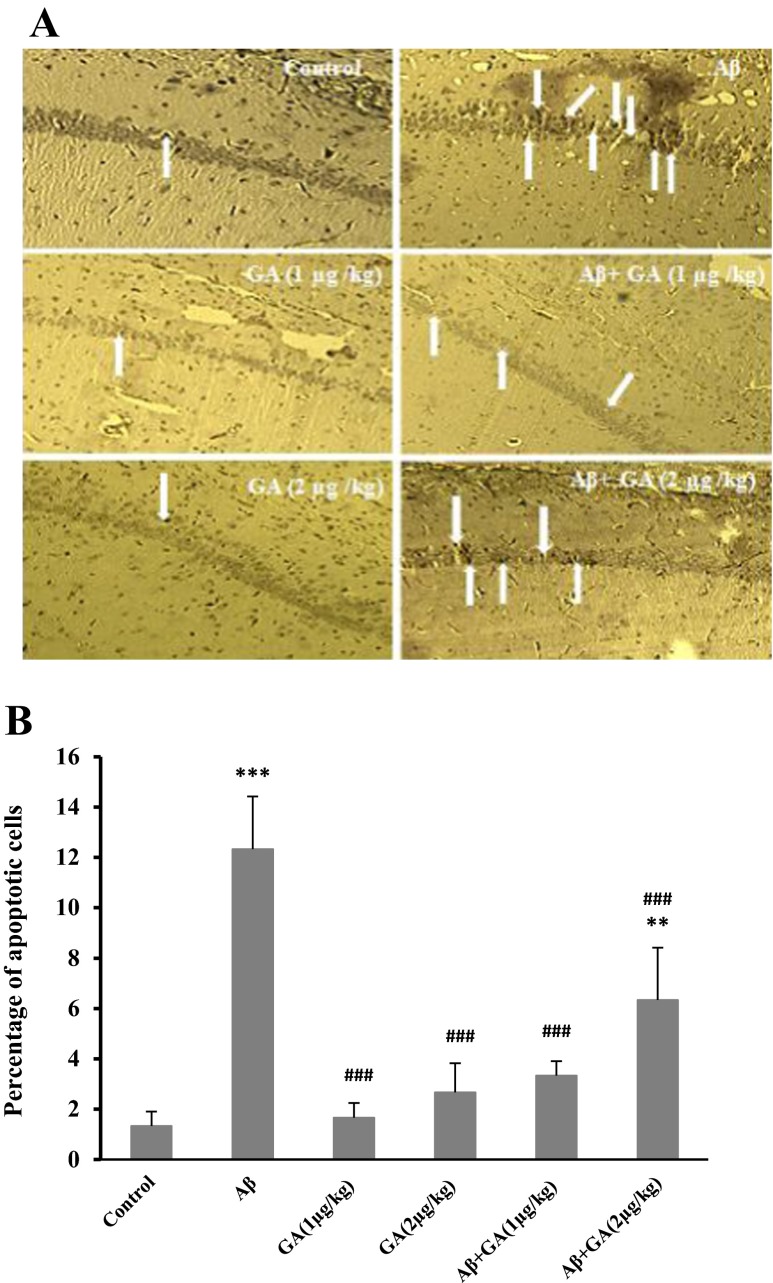 Fig. 8