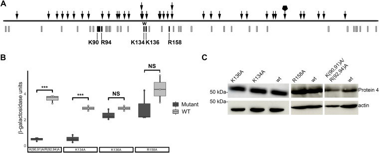 FIG 3