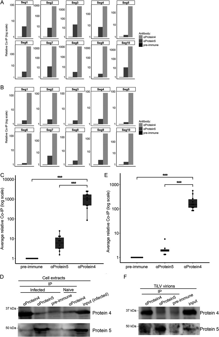 FIG 6