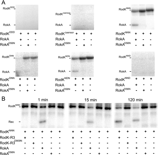 FIG. 6.