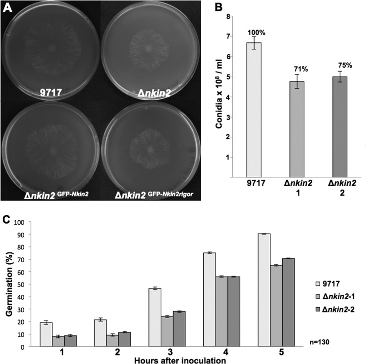 Fig 6