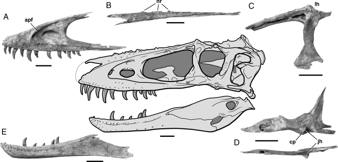 Fig. 1.