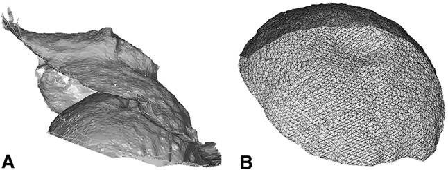 Fig. 3A–B