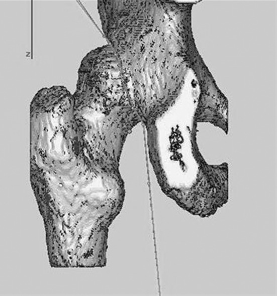 Fig. 2