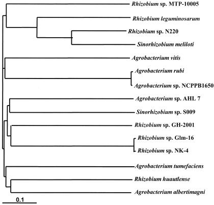 FIG. 1.